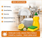 DISH WASH PASTE KIT - 5 LITRES